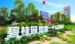 庐江碧桂园爆料视频,揭秘项目真实情况与争议焦点